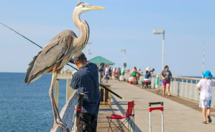 pedestrian bridge with people walking